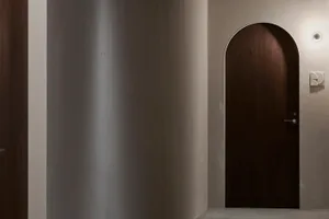 A modern, arched wooden doorway against a white wall with a light fixture above it.