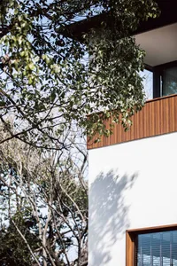Modern exterior wall with wooden fence and green foliage