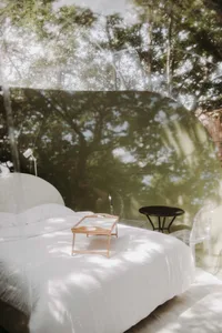 A minimalist bedroom with a glass wall overlooking trees, featuring a bed with a wooden tray on it.