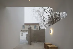 Minimalist interior space with concrete walls and floor, featuring a small green plant and wooden benches.