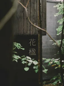 A modern interior featuring wooden paneling with the Chinese characters 花 檀 displayed.
