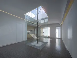 A modern living room with a glass box containing a tree and white rock, surrounded by white walls and floor.