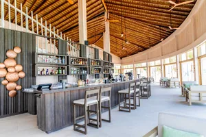 Modern bar interior with wooden ceiling, concrete counter, and seating area.