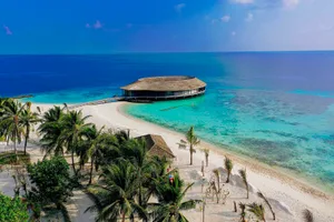 Circular building with wooden roof on a tropical beach surrounded by turquoise water and palm trees.