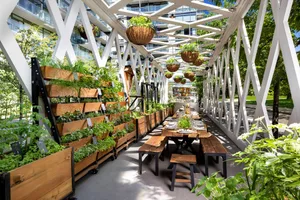 Outdoor restaurant seating area with wooden tables and hanging planters filled with greenery, supported by white metal struct