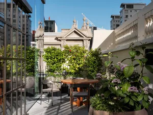 A modern rooftop garden with a wooden table, chairs, potted plants, and a view of neighboring buildings.