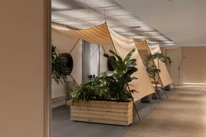 A minimalist cafe with large green potted plants and a wooden floor.