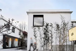 Modern building with white walls and large glass windows surrounded by tall bamboo plants