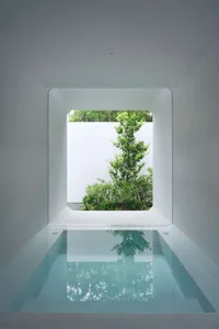A minimalist interior design featuring a concrete pool and a well-manicured tree through a large window.