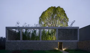 Minimalist outdoor patio area constructed of concrete with a tree and bamboo plants in the background.