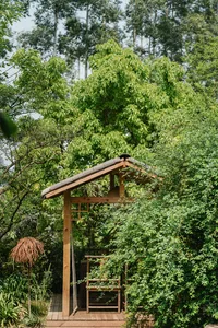 A wooden shelter in a lush, green summer garden setting.