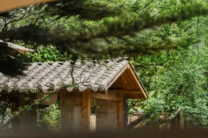 Traditional wooden house with tiled roof surrounded by lush greenery.