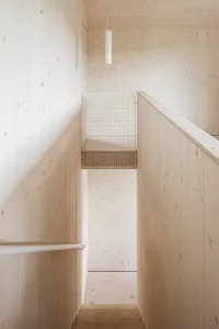 A minimalist wood interior design with wooden stairs and walls.