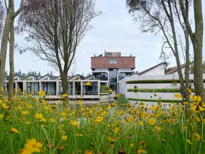 Modern residential exterior with yellow flowers in the foreground.