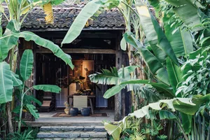 Rustic residential entrance adorned with clay pottery pots and surrounded by lush green foliage.