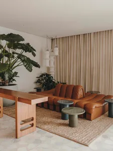 A minimalist living room with brown leather furniture and green plants.