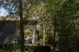 A modern house surrounded by tall trees and lush greenery.