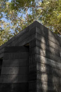 Modern building exterior with black wooden panels and a gabled roof, surrounded by greenery.