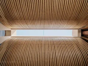 A detailed view of modern, curved wooden paneling within an architectural structure.