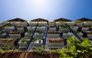 Modern residential apartment building with white rendered façade and green planters on balconies.
