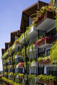Modern residential building exterior adorned with hanging plants and greenery, showcasing sustainable design