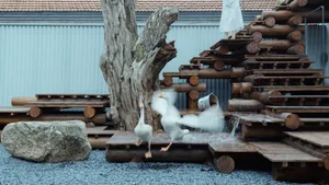 A sculpture garden featuring an industrial theme, with acrylic elements incorporated into the design.