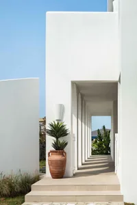 A modern residential entryway featuring a concrete wall and a terracotta planter with a palm plant.