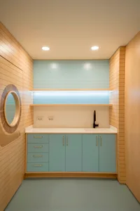 A modern residential laundry room designed with wooden and plywood walls, featuring a sink and storage cabinets.