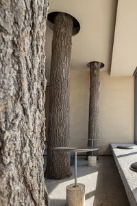 Modern cafe interior with tall concrete columns, minimalist furniture, and a naturalistic touch.