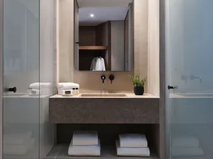 Minimalist bathroom with concrete countertop, white towels, and a green plant.