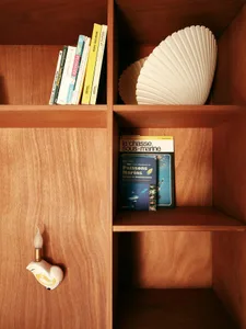 A modern wooden bookshelf with books and decorative items