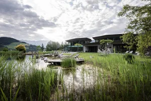 Modern residential building with greenery and stone glass
