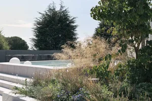 A modern garden featuring concrete planters, glass walls, and steel structures surrounded by greenery and flowers.
