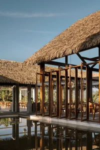 Modern architectural design featuring a thatched roof and open wooden frame.