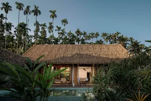Thatched roof residence with outdoor pool surrounded by palm trees and lush greenery.