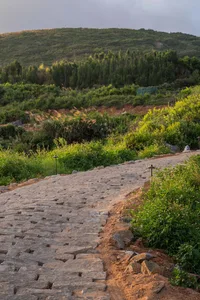Grey cobblestone pathway winding through lush green vegetation and hills.