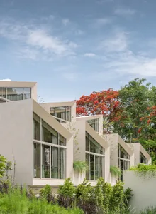 A modern house with large glass-paneled walls, a concrete foundation, and lush green plants.