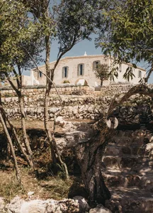 Stone exterior of a residential house with olive trees and stone walls.