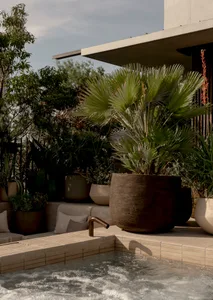 Concrete patio featuring modern, large indoor plants in planters.
