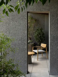 Concrete walls and plants in a minimalist garden patio