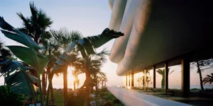 Modern building exterior with glass walls and palm trees
