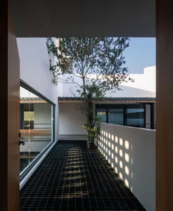 A modern residential interior with a concrete floor and a single tree in the center.