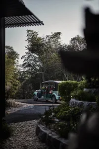 A blue vintage car driving on a cement road surrounded by lush greenery and trees.
