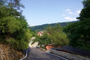 A rural road lined with trees and buildings, surrounded by greenery and mountains.