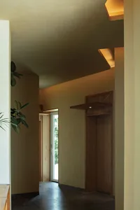 A minimalist corridor features wooden elements, with a plant and a lit cabinet.