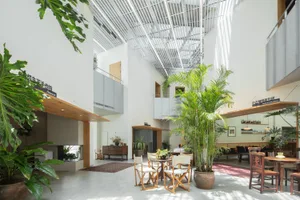 A spacious, industrial-style coffee shop interior with concrete walls, wooden tables, and large potted plants.