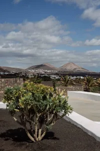 Landscape with sandy ground and construction features, including mountains in the distance.