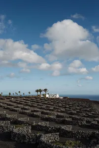 A landscape view featuring black volcanic rock formations and a building in the background.