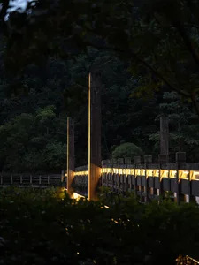 A wooden bridge illuminated at night with trees in the background.