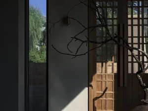 A minimalist doorway adorned with a branch on a wooden wall, featuring a small brass light fixture.